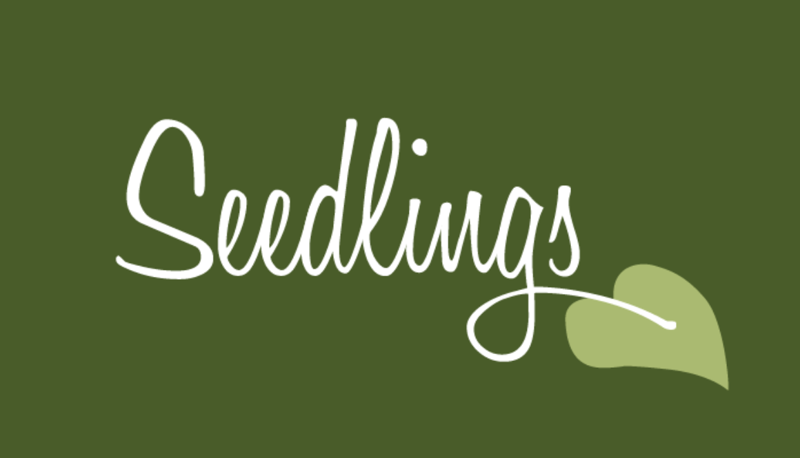 seedlings-web-feature-01