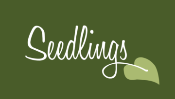 seedlings-web-feature-01